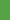 Vert Sport/Blanc