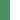 Vert foncé/Blanc