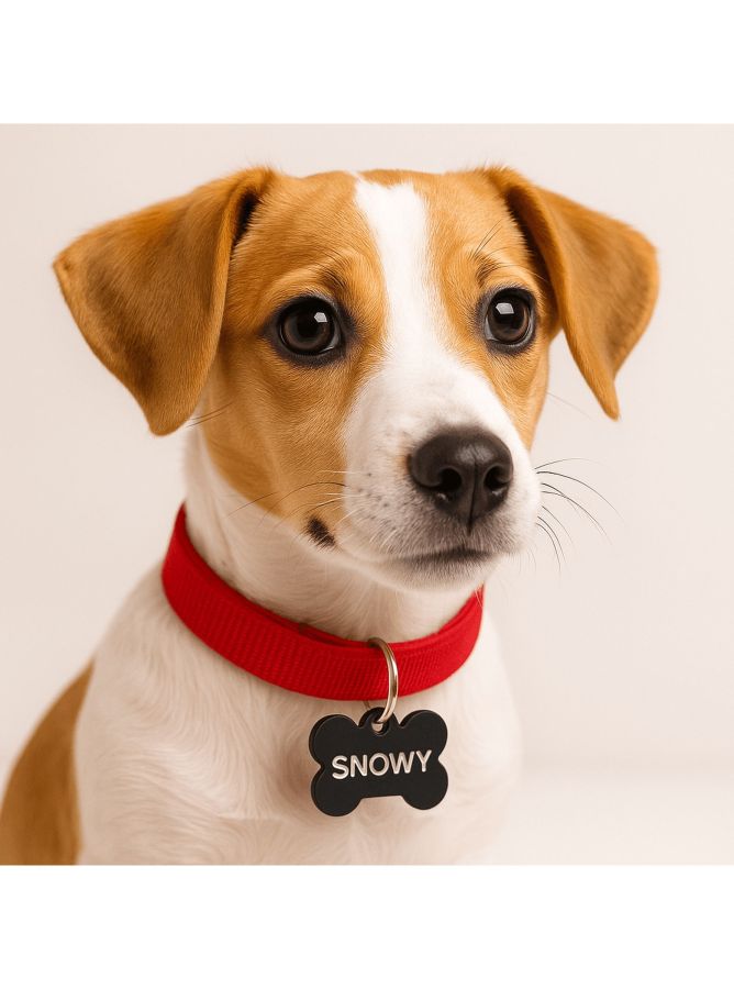 Petite médaille pour chien gravée | Omnishirt